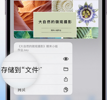 岐山apple维修中心分享iPhone文件应用中存储和找到下载文件