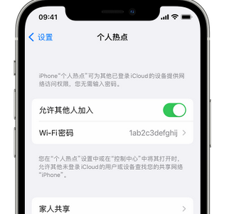 岐山apple服务站点分享iPhone上个人热点丢失了怎么办 