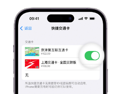 岐山apple维修点分享iPhone上更换Apple Pay快捷交通卡手绘卡面 