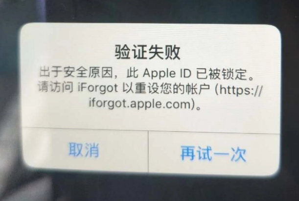 岐山iPhone维修分享iPhone上正常登录或使用AppleID怎么办 