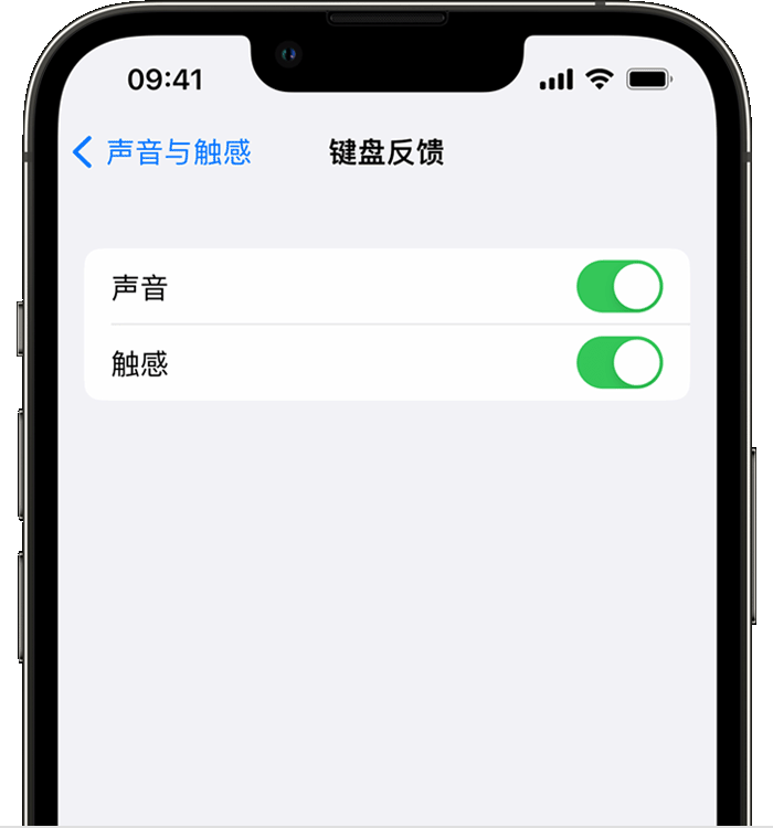 岐山苹果14维修店分享如何在 iPhone 14 机型中使用触感键盘 