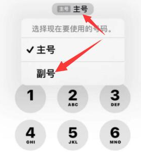 岐山苹果14维修店分享iPhone 14 Pro Max使用副卡打电话的方法 