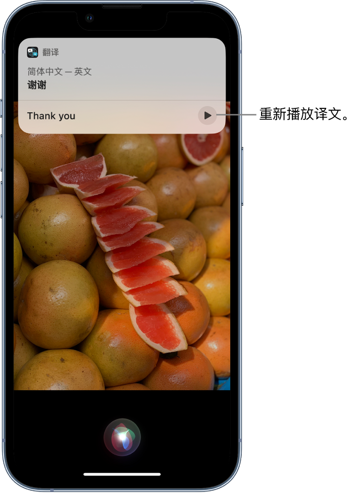 岐山苹果14维修分享 iPhone 14 机型中使用 Siri：了解 Siri 能帮你做什么 