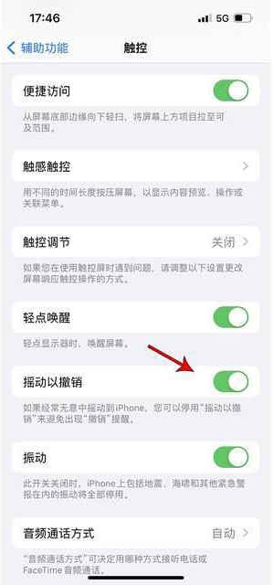 岐山苹果手机维修分享iPhone手机如何设置摇一摇删除文字 